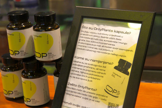 Short-Chain Fatty Acids: The Unsung Gut Messengers That Influence Your Brain, Energy, and Mood