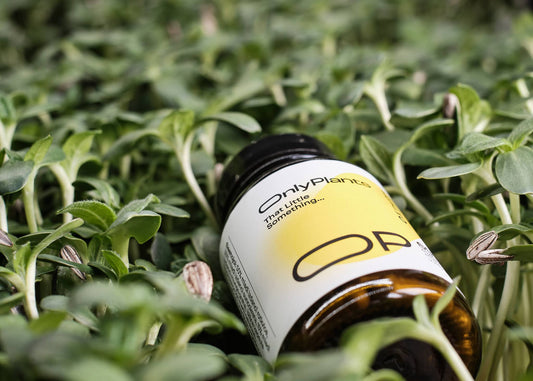 Absorption and Bioavailability: Understanding Nutrients from Microgreens and Supplements