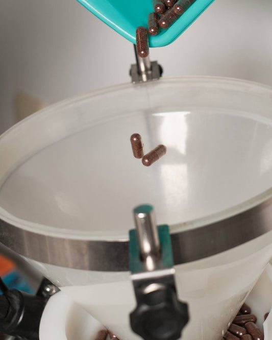 From Nutrients to Systems: A Scientific Guide to Food Roles, Colours, and Timing