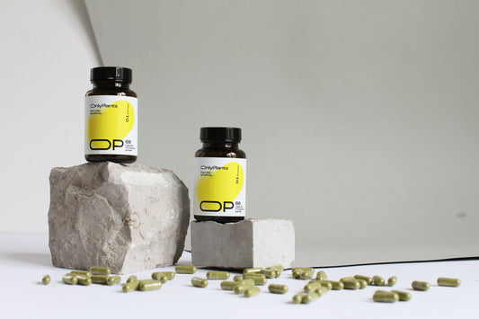 Micronutrient Fatigue: The Silent Drain on Team Productivity